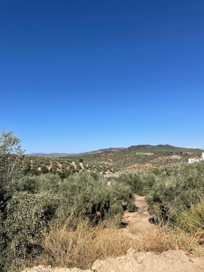 Lafrenchtouch - Escapada Rural En Una Coqueta Casa Villanueva de Tapia Exteriör bild